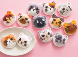 huffingtonpost:  These Puffy Cat Marshmallows Are The Cutest