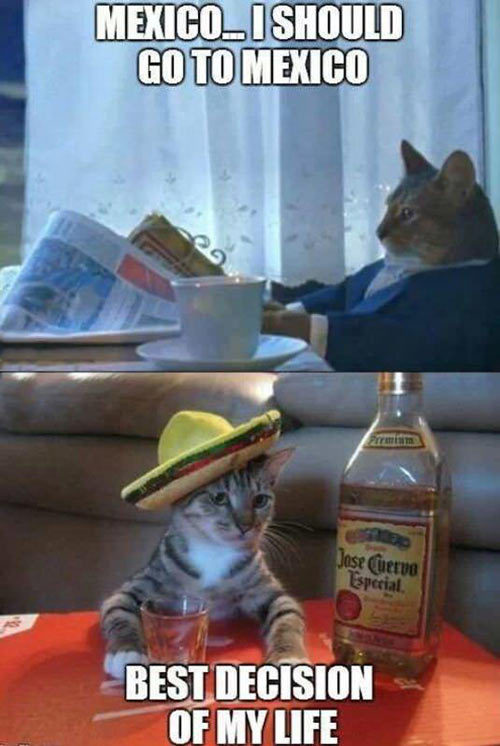 srsfunny:  I should go to Mexicoâ€¦http://srsfunny.tumblr.com/ 