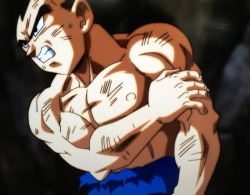 msdbzbabe:  msdbzbabe: SHIRTLESS VEGETAHHHHHh!!! LADIES!!!! Put