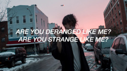 soulhalsey:  Halsey // Gasoline{ photo creds: x }