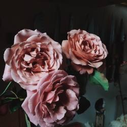 floralls:   by  reubenmarkstewart   