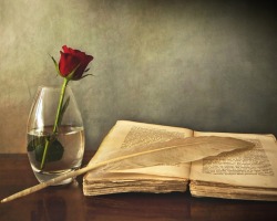 love-roses-are-red:  There are many books in the library, each