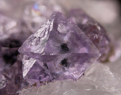underthescopemineral:  Fluorite, Calcite, Quartz CaF2, CaCO3,