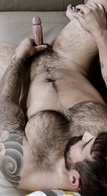 Hairy muscle men & hot male hunks
