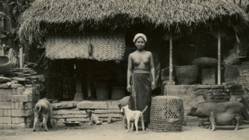 Via Collectie P.F. ValoisKitty’s picturebook from her trip “Bandoeng-Soerabaja-Bali. Balireis 1939. Ned-IndiëBalinese peasant’s house