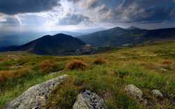 90377:   	Mountains valley in summer day by Taras L 