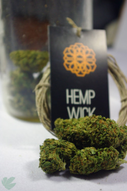 weedporndaily:  Taste the true flavor of your buds with Hemp