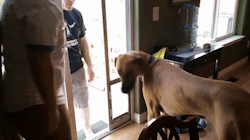 awwww-cute: I have my routines which I know is safe (Source: