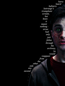 newtonscamandere:  “SIRIUS!” Harry yelled, “SIRIUS!”