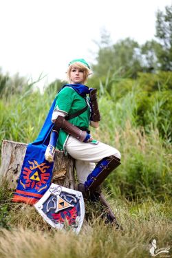 Hyrule Warriors Link IV by Lizzardon123 