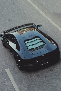 wormatronic:  Aventador | More 