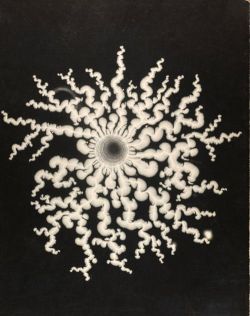 theleoisallinthemind:  Gyorgy Kepes -Lichtenberg figures 1951