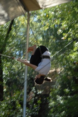 kyotocat:  Throwback Trapeze Sonoma, Ca 