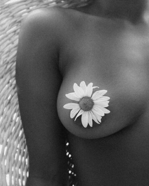 bluelady329:
