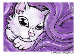 torpedoesarts:  White kitten [acrylic, watercolour, and those