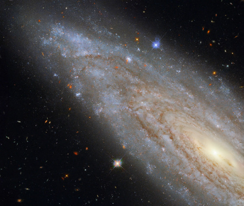 lootbox:  spiral galaxy NGC 3254