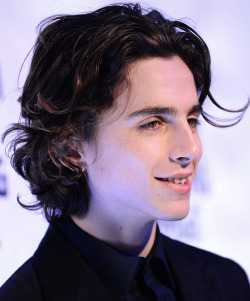 tchalametdaily:  Timothée Chalamet@    The Museum of the Moving