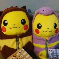 Sleeping bag buddies! #pokemon #pikachu #nebukurocollection #nebukuropikachu