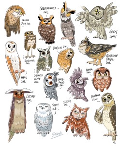 starkchao: What do you mean I’m “OBSESSED” with owls?