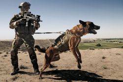 45-9mm-5-56mm:  sof-blog:  German KSK with a working dog.- Eric