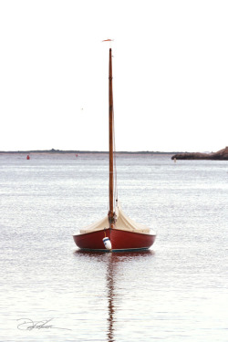 thefullerview:  Red Sailboat, Westport Harbor / David Fuller