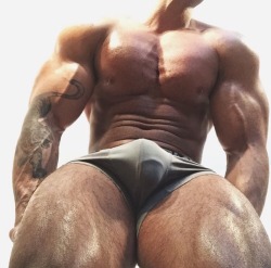 Muscular, inked, great pecs, and an awesome bulge - WOOF