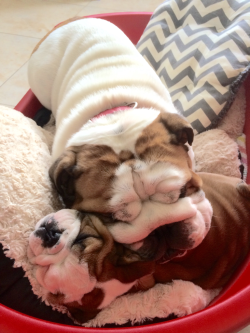 awwww-cute:  Father and daughter, exhausted after an hour’s