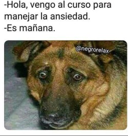 Memes Español Latino
