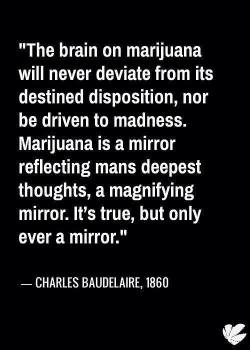 Legalize the Cannabis