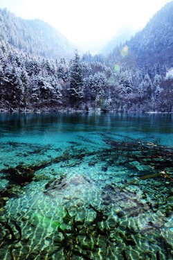 0rient-express:  Five Flower Lake | by Eric Xingang.      