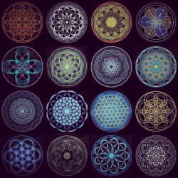 provocative-planet-pics-please:Snowflake mandala. by gee_im_a_tree