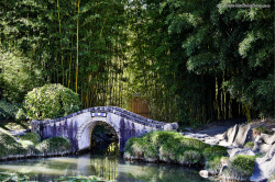 hippynz:  Bridge In Chinese Gardens Dreamy 5329 on Flickr.Bridge