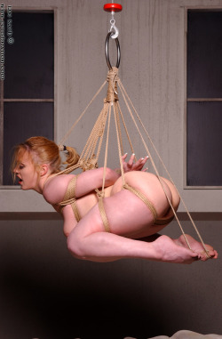 Shibari suspension bondage skarletfantasies:  What about this?