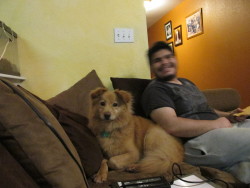 My dog Dexter (and my brother, please ignore him) o3oi’m not