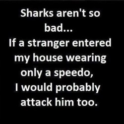 swimwearcapital:  #speedos #humour #lotd #budgiesmugglers #sharkattacks