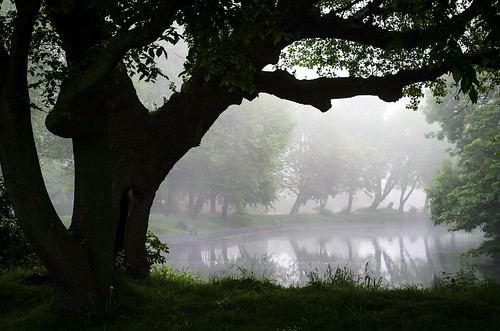 swampnymphs:  misty lake by kevin scott