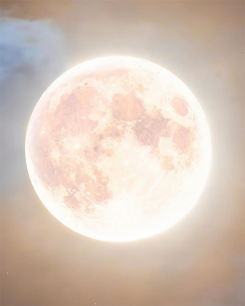 without-ado:Flower Full Moon before the total lunar eclipse l