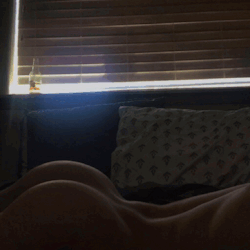 theteenhigh:  Ass