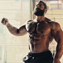 Awesome pecs, great hairy chest, this is what dreams are made