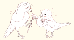 loppyrae:heres a reminder that i LOVE! BIRDS! SO! MUCH!