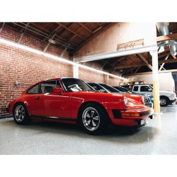 that911:  Red or Dead