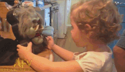 killthedinos:  This little girl just loves this!
