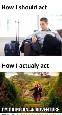 picshag:  When you travellolcoaster.org/