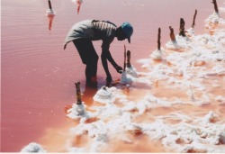 manufactoriel:  Tropical Salt, Haiti, by Gary Pierre-Pierre