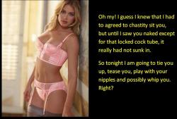 Oh my! I guess I knew that I had agreed to chastity sit you,