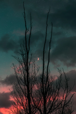 Mystical