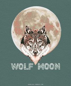 ohhelga:  Teen Wolf Episode Posters; S1 Wolf Moon (x) 