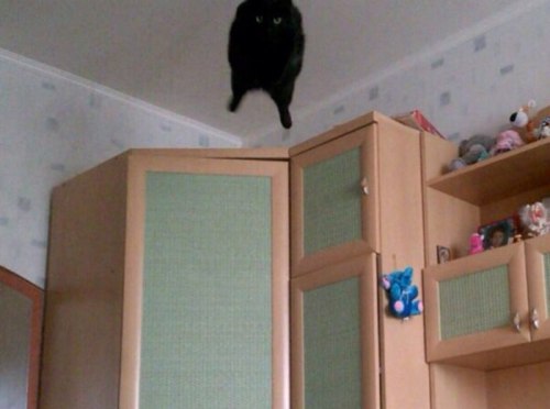 Catasters