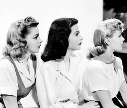 vintagegal:  Judy Garland, Hedy Lamarr and Lana Turner in a publicity