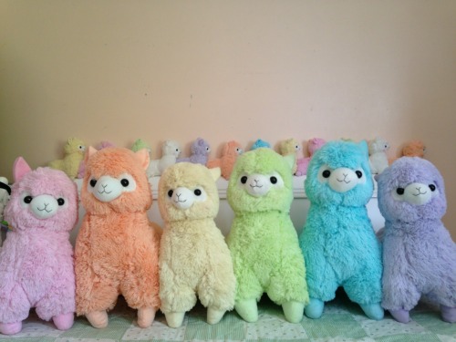 moccoe:  Rainbow macaroons  There’s like, a direct correlation between how many Alpacasso photos other post and how many mini tantrums I have. This is like being a kid and keeping on seeing ads for fancy, light up Polly Pockets and freaking out